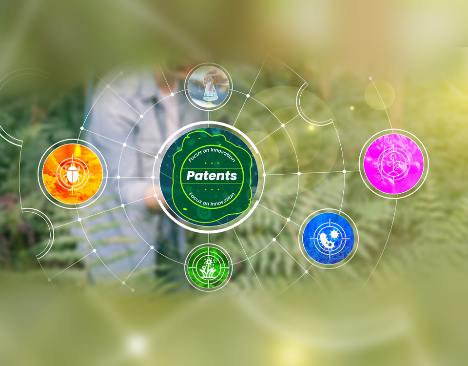 Sustainable Gardening Practices embracing methods blog