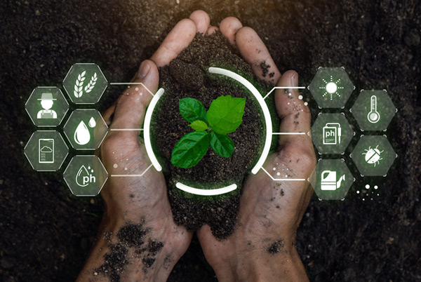 Sustainable Gardening Practices embracing methods blog