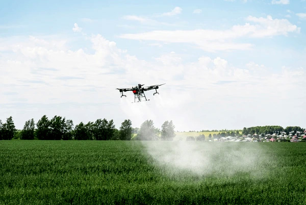 Sustainable Gardening Practices embracing methods blog